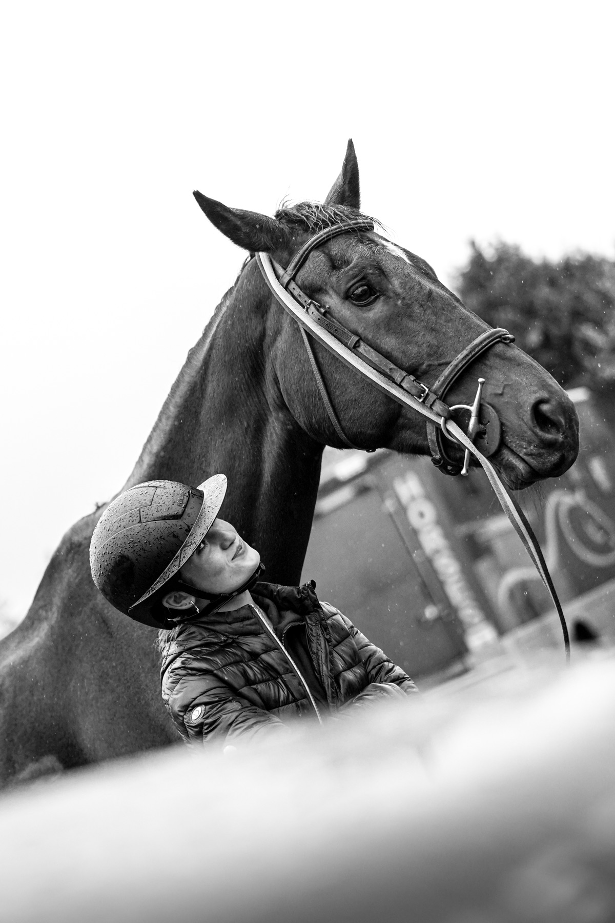 Jinete y caballo superando un obstáculo