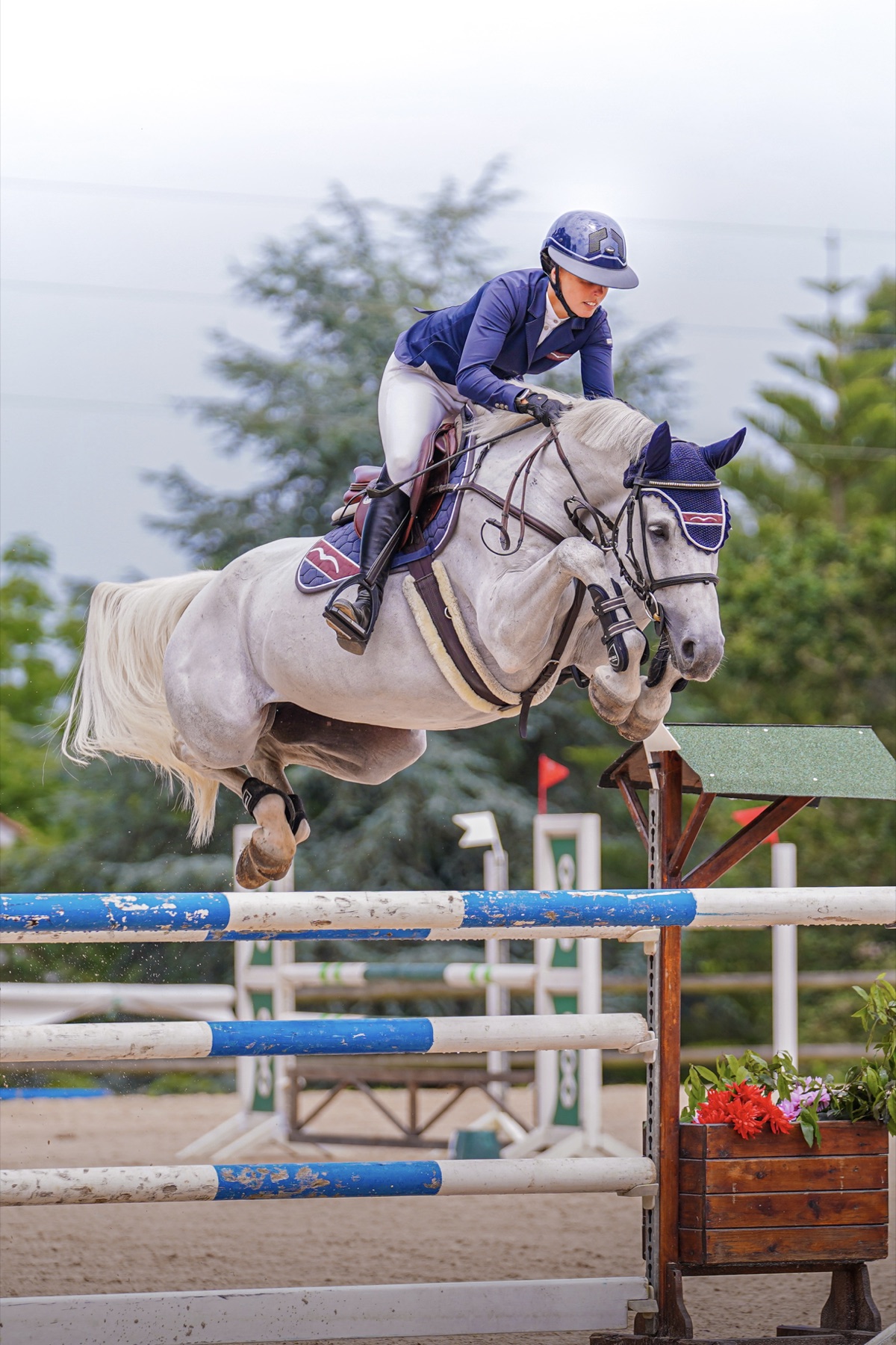 Momento de un salto ecuestre